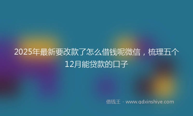 2025年最新要改款了怎么借钱呢微信，梳理五个12月能贷款的口子