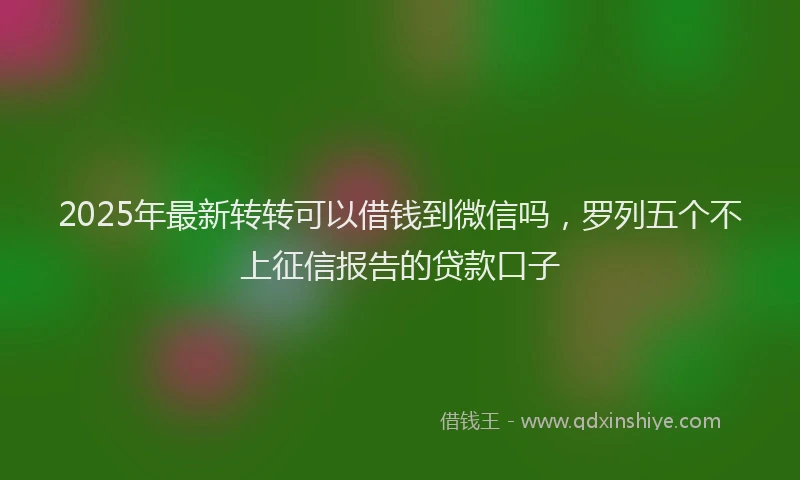 2025年最新转转可以借钱到微信吗，罗列五个不上征信报告的贷款口子