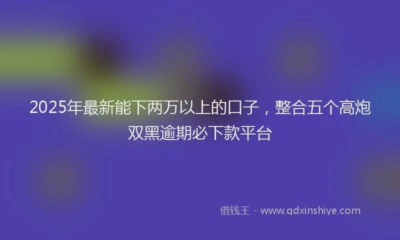 2025年最新能下两万以上的口子，整合五个高炮双黑逾期必下款平台