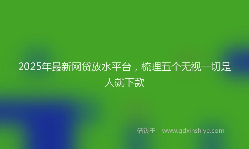 2025年最新网贷放水平台，梳理五个无视一切是人就下款