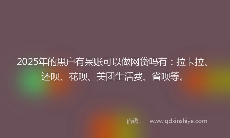2025年的黑户有呆账可以做网贷吗有：拉卡拉、还呗、花呗、美团生活费、省呗等。
