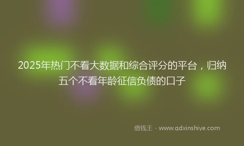 2025年热门不看大数据和综合评分的平台，归纳五个不看年龄征信负债的口子