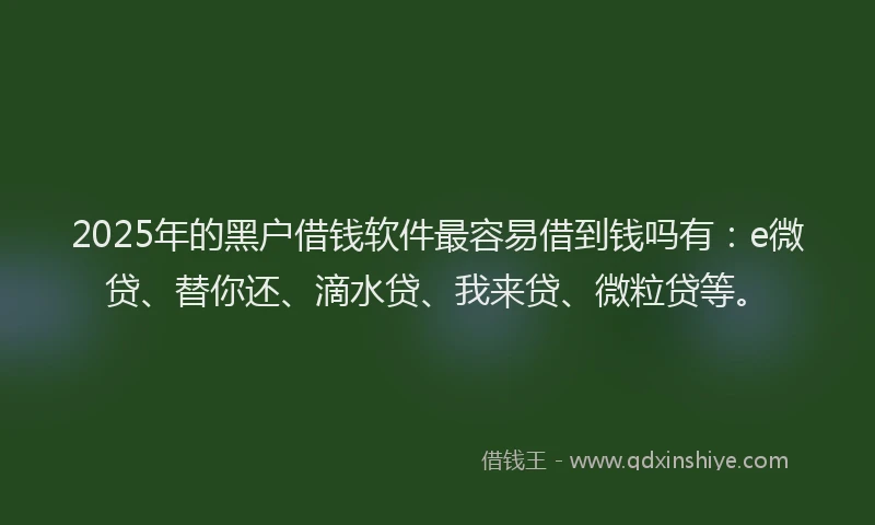 2025年的黑户借钱软件最容易借到钱吗有：e微贷、替你还、滴水贷、我来贷、微粒贷等。