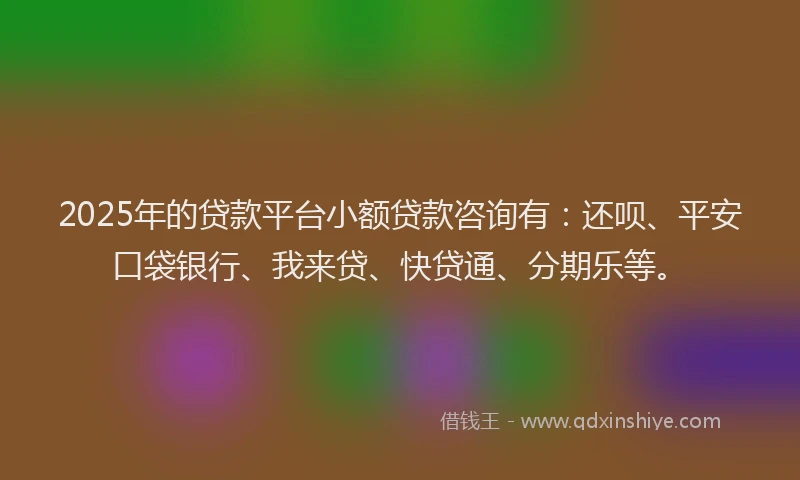 2025年的贷款平台小额贷款咨询有：还呗、平安口袋银行、我来贷、快贷通、分期乐等。