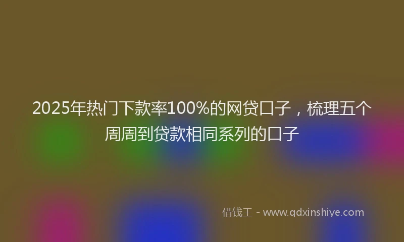 2025年热门下款率100%的网贷口子，梳理五个周周到贷款相同系列的口子