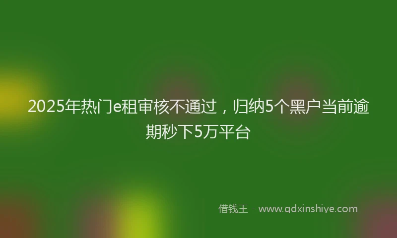 2025年热门e租审核不通过，归纳5个黑户当前逾期秒下5万平台