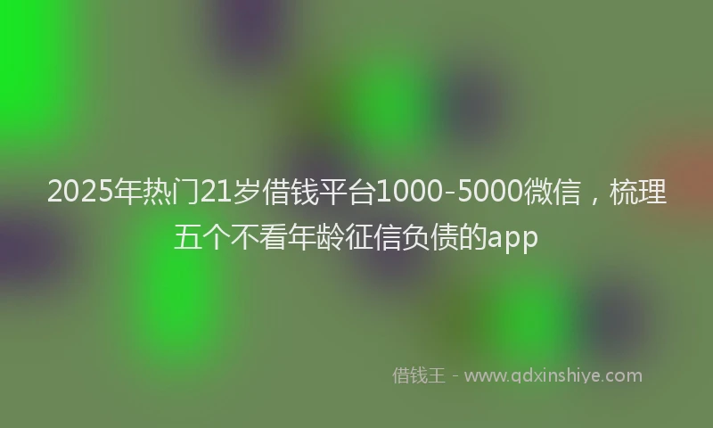 2025年热门21岁借钱平台1000-5000微信，梳理五个不看年龄征信负债的app