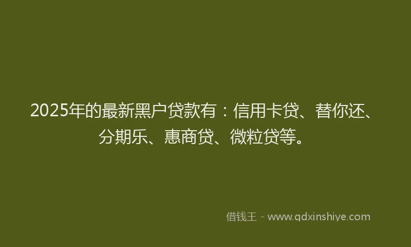 2025年的最新黑户贷款有：信用卡贷、替你还、分期乐、惠商贷、微粒贷等。