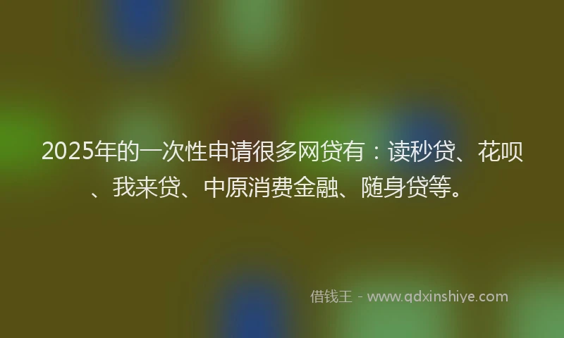 2025年的一次性申请很多网贷有：读秒贷、花呗、我来贷、中原消费金融、随身贷等。
