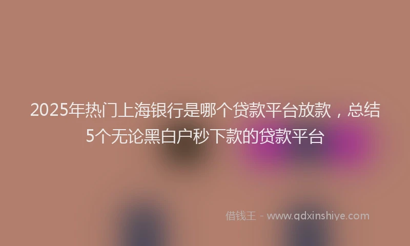 2025年热门上海银行是哪个贷款平台放款，总结5个无论黑白户秒下款的贷款平台