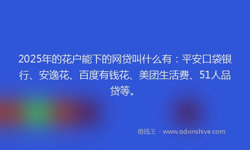 2025年的花户能下的网贷叫什么有：平安口袋银行、安逸花、百度有钱花、美团生活费、51人品贷等。