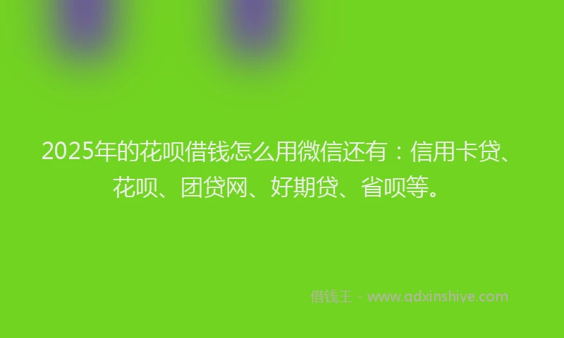 2025年的花呗借钱怎么用微信还有：信用卡贷、花呗、团贷网、好期贷、省呗等。