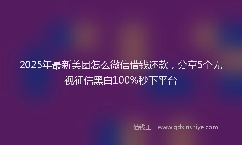 2025年最新美团怎么微信借钱还款，分享5个无视征信黑白100%秒下平台