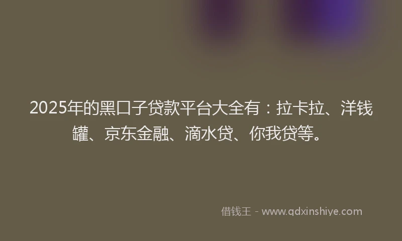 2025年的黑口子贷款平台大全有：拉卡拉、洋钱罐、京东金融、滴水贷、你我贷等。