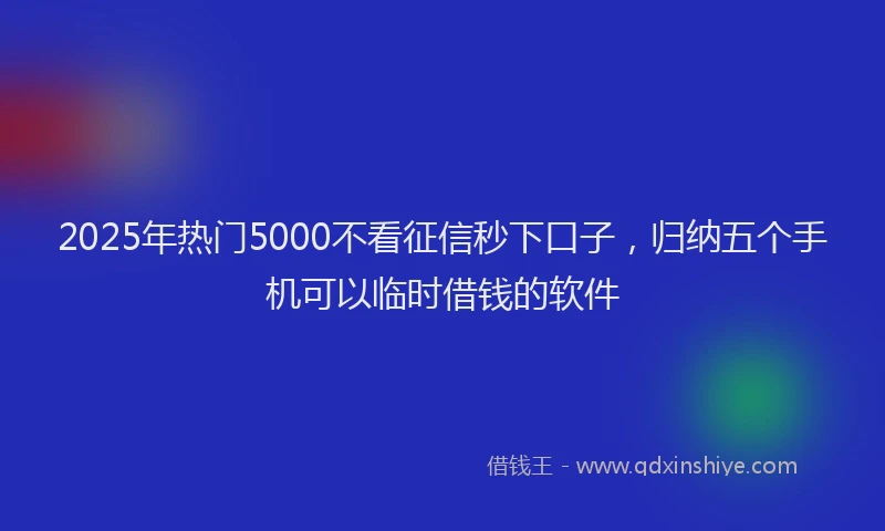 2025年热门5000不看征信秒下口子，归纳五个手机可以临时借钱的软件