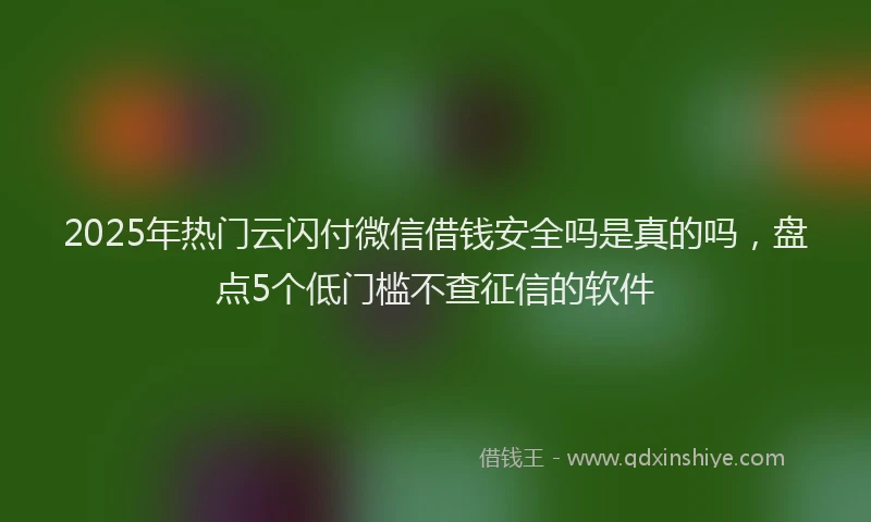 2025年热门云闪付微信借钱安全吗是真的吗，盘点5个低门槛不查征信的软件