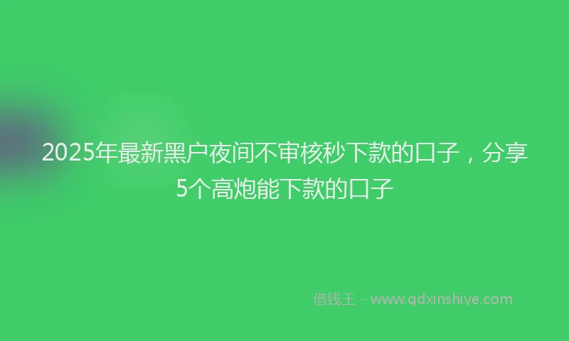 2025年最新黑户夜间不审核秒下款的口子，分享5个高炮能下款的口子