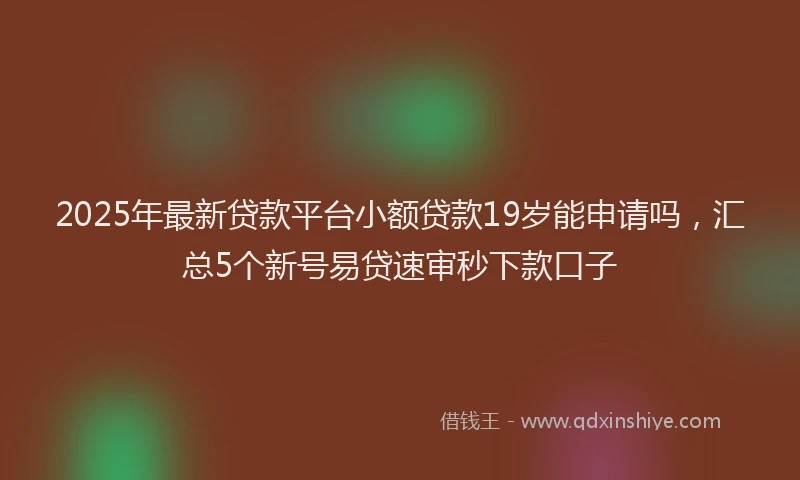 2025年最新贷款平台小额贷款19岁能申请吗，汇总5个新号易贷速审秒下款口子