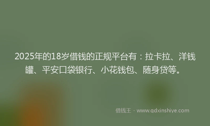 2025年的18岁借钱的正规平台有：拉卡拉、洋钱罐、平安口袋银行、小花钱包、随身贷等。