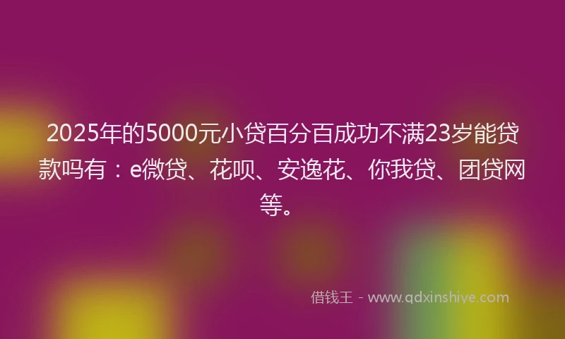 2025年的5000元小贷百分百成功不满23岁能贷款吗有：e微贷、花呗、安逸花、你我贷、团贷网等。