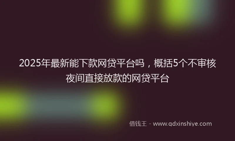 2025年最新能下款网贷平台吗，概括5个不审核夜间直接放款的网贷平台