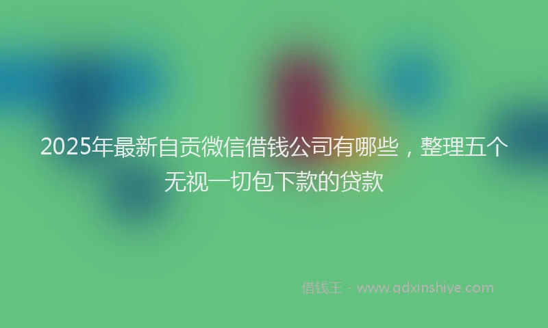 2025年最新自贡微信借钱公司有哪些，整理五个无视一切包下款的贷款