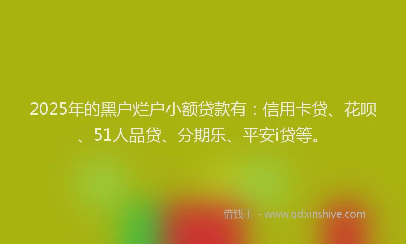 2025年的黑户烂户小额贷款有：信用卡贷、花呗、51人品贷、分期乐、平安i贷等。