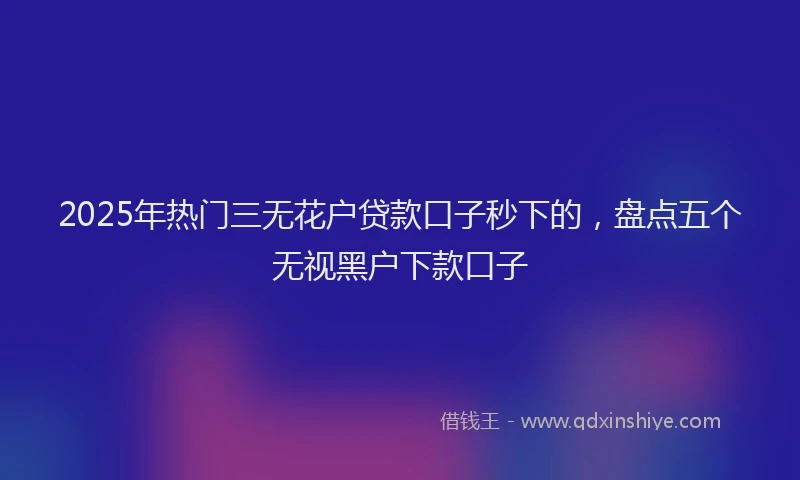 2025年热门三无花户贷款口子秒下的，盘点五个无视黑户下款口子