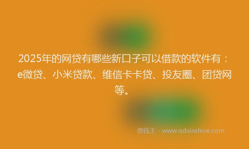 2025年的网贷有哪些新口子可以借款的软件有：e微贷、小米贷款、维信卡卡贷、投友圈、团贷网等。