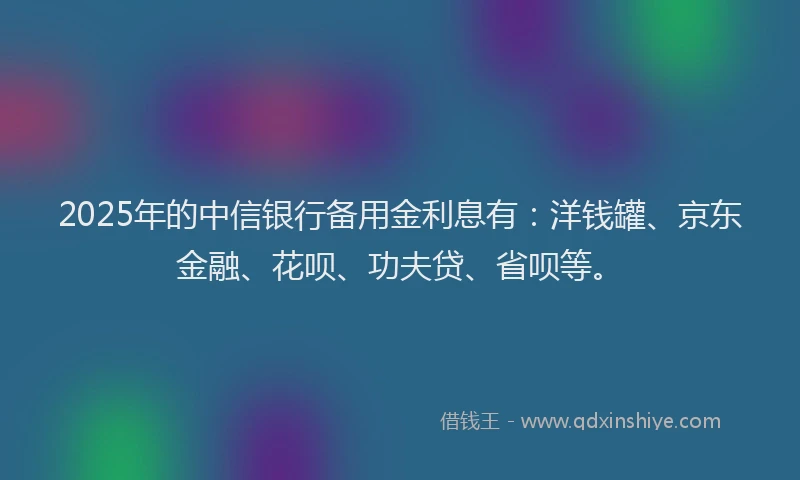 2025年的中信银行备用金利息有：洋钱罐、京东金融、花呗、功夫贷、省呗等。