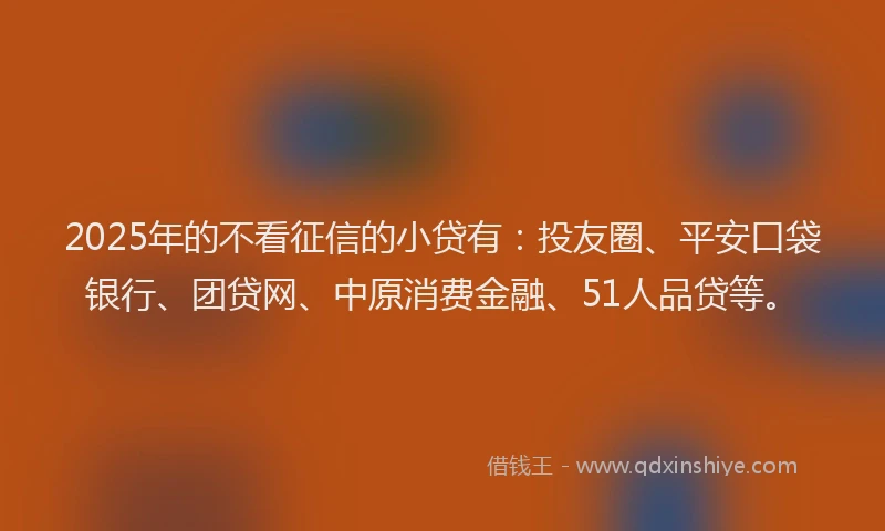 2025年的不看征信的小贷有：投友圈、平安口袋银行、团贷网、中原消费金融、51人品贷等。