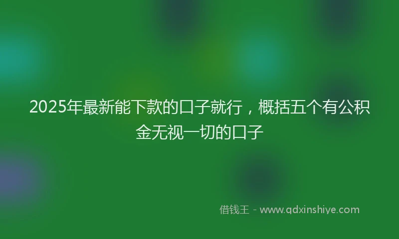 2025年最新能下款的口子就行，概括五个有公积金无视一切的口子