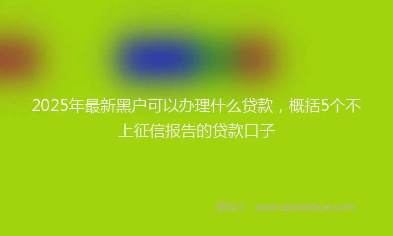 2025年最新黑户可以办理什么贷款，概括5个不上征信报告的贷款口子