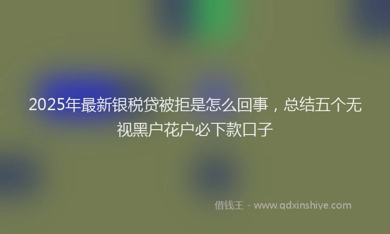 2025年最新银税贷被拒是怎么回事，总结五个无视黑户花户必下款口子