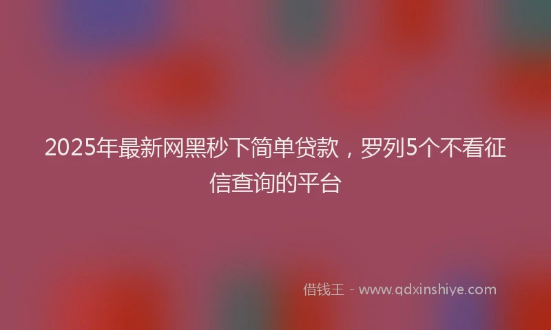 2025年最新网黑秒下简单贷款，罗列5个不看征信查询的平台