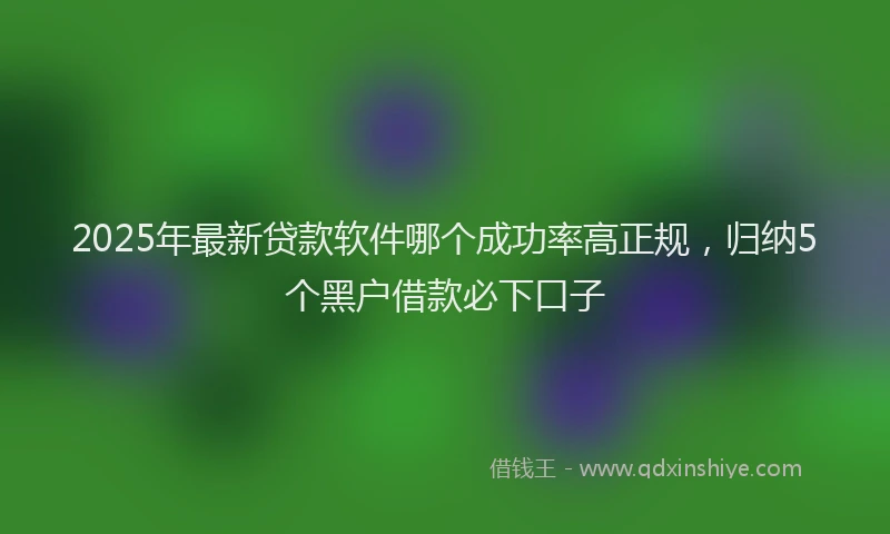 2025年最新贷款软件哪个成功率高正规，归纳5个黑户借款必下口子