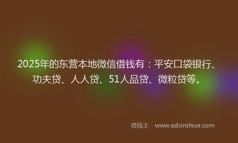 2025年的东营本地微信借钱有：平安口袋银行、功夫贷、人人贷、51人品贷、微粒贷等。