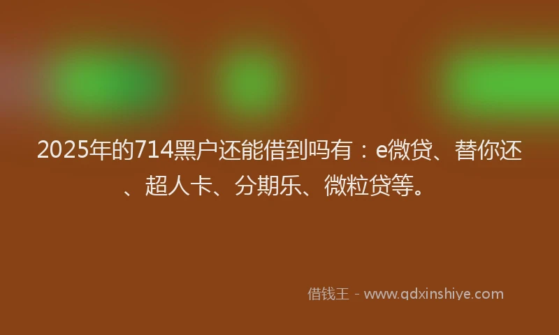 2025年的714黑户还能借到吗有：e微贷、替你还、超人卡、分期乐、微粒贷等。