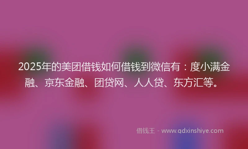 2025年的美团借钱如何借钱到微信有：度小满金融、京东金融、团贷网、人人贷、东方汇等。