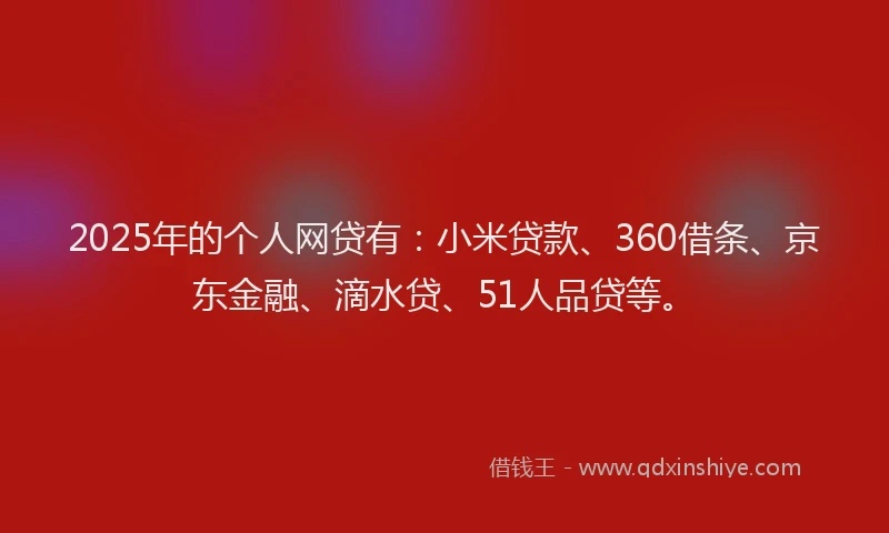 2025年的个人网贷有：小米贷款、360借条、京东金融、滴水贷、51人品贷等。