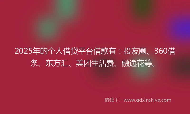 2025年的个人借贷平台借款有：投友圈、360借条、东方汇、美团生活费、融逸花等。