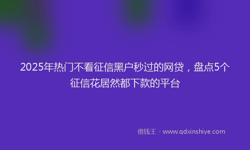 2025年热门不看征信黑户秒过的网贷，盘点5个征信花居然都下款的平台