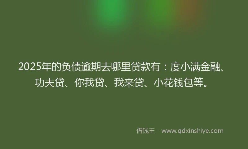 2025年的负债逾期去哪里贷款有：度小满金融、功夫贷、你我贷、我来贷、小花钱包等。