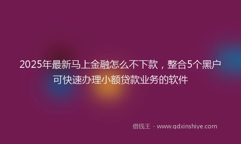 2025年最新马上金融怎么不下款，整合5个黑户可快速办理小额贷款业务的软件