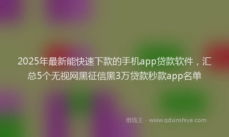 2025年最新能快速下款的手机app贷款软件，汇总5个无视网黑征信黑3万贷款秒款app名单