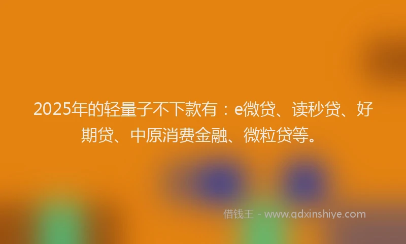 2025年的轻量子不下款有：e微贷、读秒贷、好期贷、中原消费金融、微粒贷等。