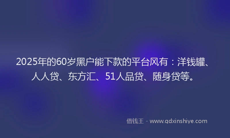 2025年的60岁黑户能下款的平台风有：洋钱罐、人人贷、东方汇、51人品贷、随身贷等。