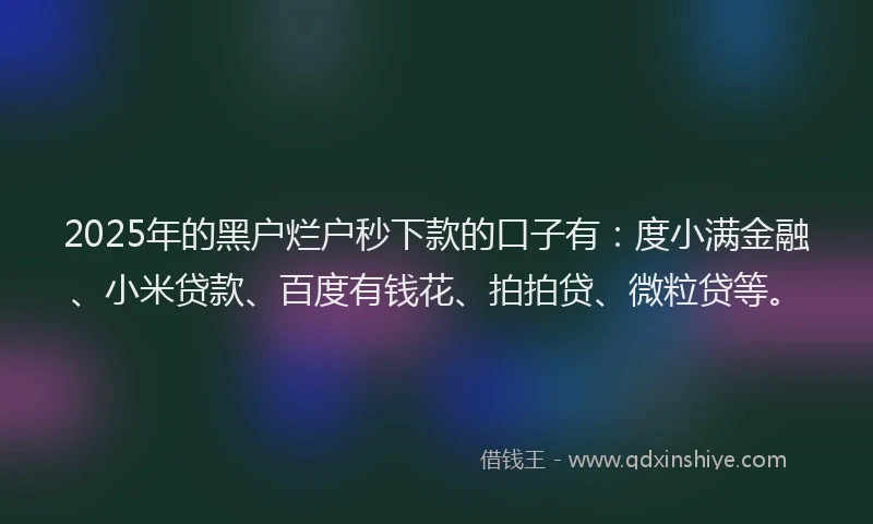 2025年的黑户烂户秒下款的口子有：度小满金融、小米贷款、百度有钱花、拍拍贷、微粒贷等。