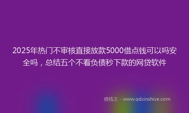 2025年热门不审核直接放款5000借点钱可以吗安全吗，总结五个不看负债秒下款的网贷软件