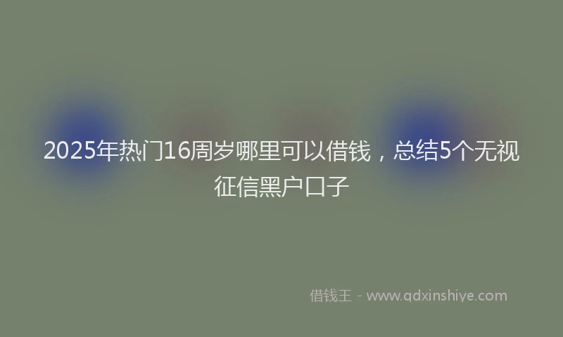 2025年热门16周岁哪里可以借钱，总结5个无视征信黑户口子